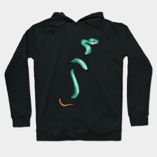 snek 1 Hoodie